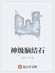 神级脑结石