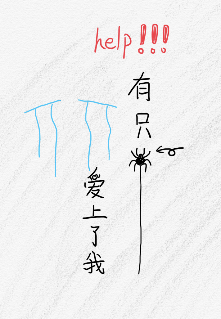 有只蜘蛛爱上了我